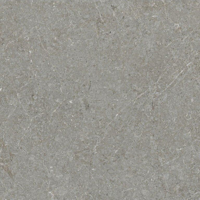 ÉCHANTILLON Terravito Elvano Carrelage parquet céramique mural et de sol - 60x60cm - 9mm - Greige