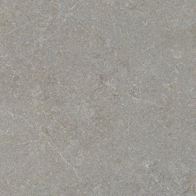 ÉCHANTILLON Terravito Elvano Carrelage parquet céramique mural et de sol - 90x90cm - rectifié - Greige
