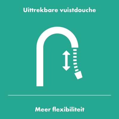 Hansgrohe Zesis 1-gr keukenmengkraan 150 uittrekbare v.douche chr.