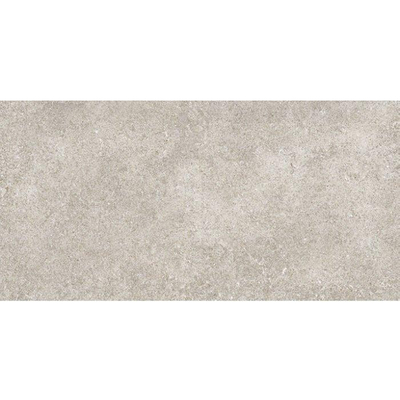 ÉCHANTILLON Terravito Orvico Grey carreau mural - 30x60cm - 10mm - rectifié - aspect pierre naturelle - gris mat
