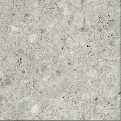 Ceralto Valerio Mini Vloertegel - 59.7x59.7cm - 9.0mm - gerectificeerd - Ceppo di gre