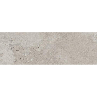 ÉCHANTILLON vtwonen Carrelage Portland Carrelage mural 300X900 Gris 8,7mm Mat