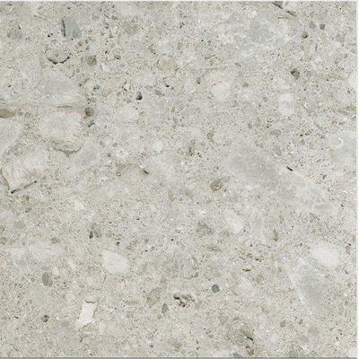 Ceralto Valerio Mini Vloertegel - 59.7x59.7cm - 9.0mm - gerectificeerd - Ceppo di gre