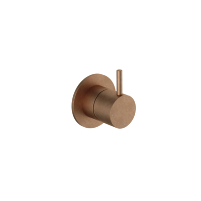 Hotbath Cobber Partie de finition - pour mélangeur de douche - Living colours - Laiton vieilli