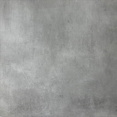 ÉCHANTILLON Terravito Davano carreau mural et de sol - 80x80cm - Carré - 10mm - rectifié - Effet béton - Loft Ash