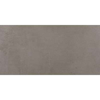 SAMPLE Ceralto Minuta Lux 300X600 Urban Dove