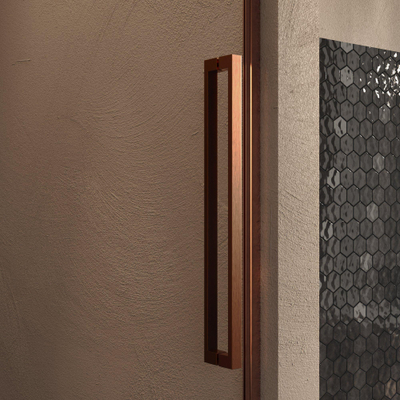 BRAUER Cosmic Porte de niche - 90x200 - pivotante - transparent - verre réversible incl. revêtement en verre - cuivre brossé PVD