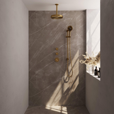 BRAUER Stripe Thermostatische Inbouw Regendouche - SET 12 - 25cm douchekop - plafondarm - 3-standen handdouche - doucheslang - geïntegreerde glijstang - goud geborsteld PVD