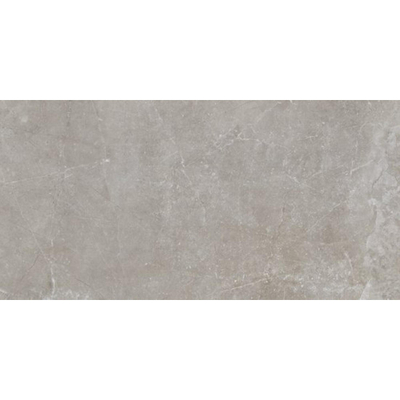 SAMPLE Dado Ermetica Vloer- en wandtegel - 60x120cm - 9.5mm - gerectificeerd - Porcellanato gekleurd - Grigio (Grijs)