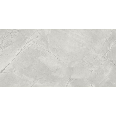 Ceralto Lithora Mineral Vloertegel - 29.6X59.5 - 9mm - glans - grey cloud