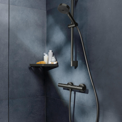 Hansgrohe Ecostat Element opbouw douchethermostaat Brushed Black Chrome