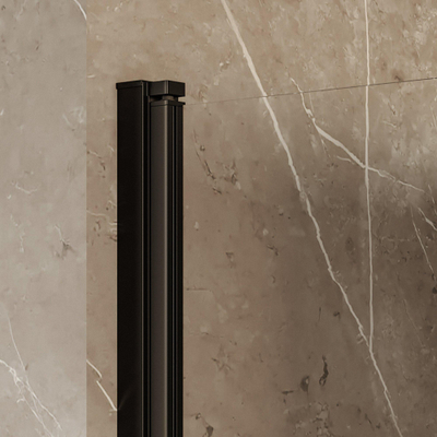 BRAUER Cosmic Porte de niche - 80x200 - pivotante - transparent - verre réversible incl. traitement anticalcaire - noir mat