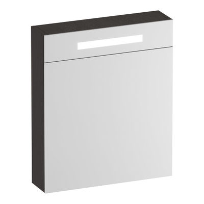 BRAUER Promise Deluxe spiegelkast - 60x70x15cm - met verlichting 1 linksdraaiende dubbelzijdige spiegeldeur Timber Anthracite