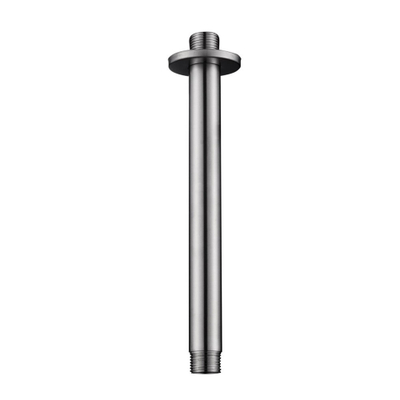Wiesbaden 304 Douchearm - met plafondbevestiging rond - 20cm - geborsteld RVS