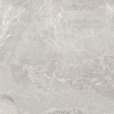 SAMPLE Ceralto Salerno Plank Décor bande - 60x60cm - 8mm - rectifié - Pearl (Gris)