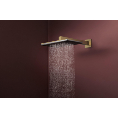 Hansgrohe Raindance alive Q - hoofddouche 210/340 2jet wand - geborsteld brons (brons)