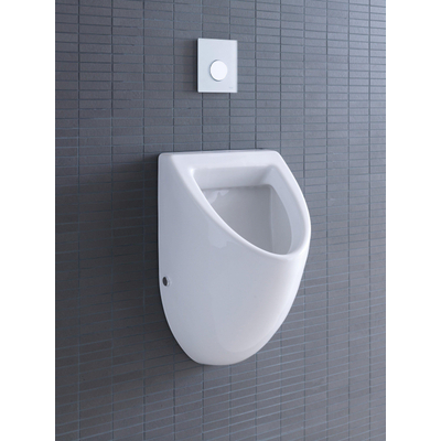 Duravit Fizz Urinoir afzuigend - met bevestiging - met achterinlaat - wit