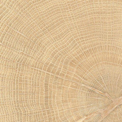 Vtwonen Tegels Woodcirkle Vloertegel - 10x10cm - 9.5mm - Oak