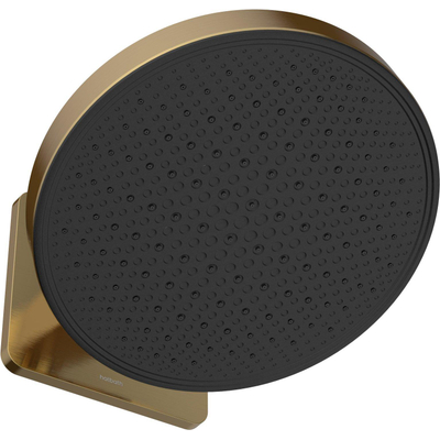 Hotbath Mate Hoofddouche - 30cm - opbouw - rond - rond - PVD - geborsteld messing (goud)