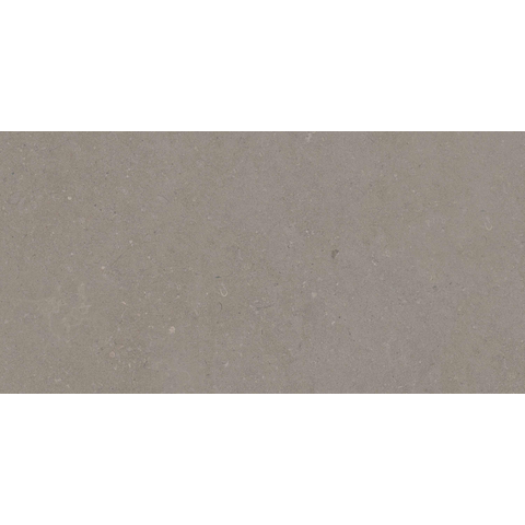 ÉCHANTILLON Terravito Selvico Carrelage mural en céramique - 30x60cm - 8.5mm - Greige SW1579577