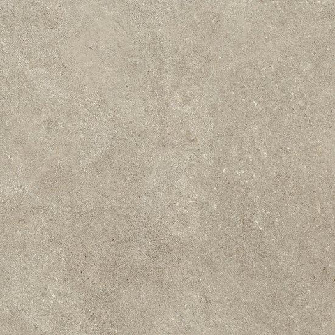 ÉCHANTILLON Ceralto Sylvaro Grain Carreau de sol - 60x60cm - 9.0mm - rectifié - Oyster SW1557813