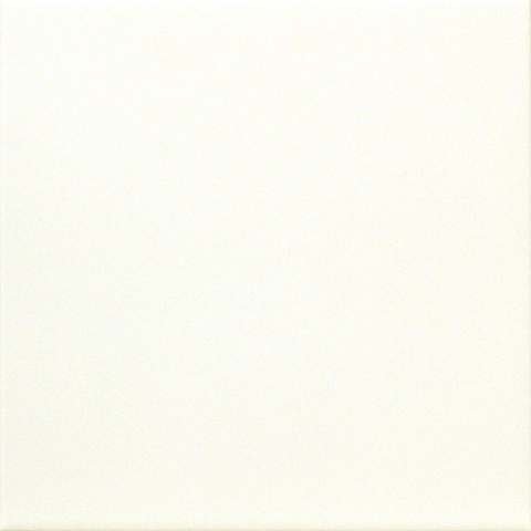 Terravito Besano carrelage sol et mur - 20x20cm - 8.5mm - carré - R9 - white mat (blanc) SW203640
