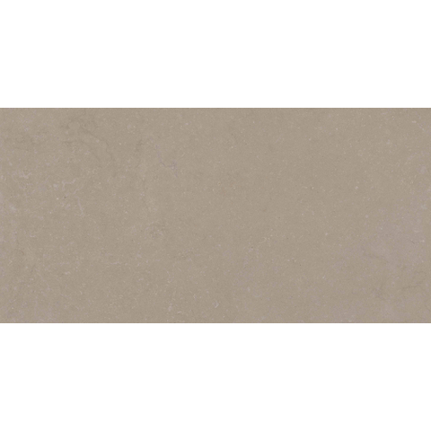 ÉCHANTILLON Terravito Selvico Carrelage parquet céramique murale et de sol - 60x120cm - 9mm - Sand SW1579564