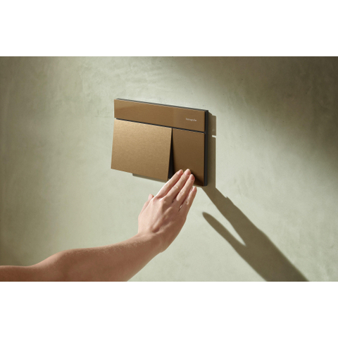 Hansgrohe iFrame Element E plaque de commande pour - double chasse - bronze brossé SW1388329
