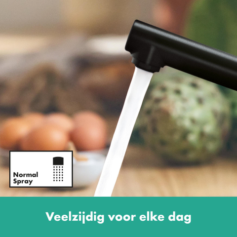 Hansgrohe Zesis m33 - eengreeps keukenmengkraan - 150 - 1jet - mat zwart SW730035