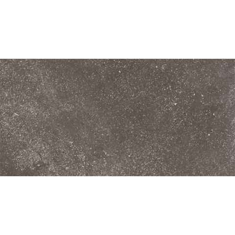 Ceralto Ivarno Core Carreau de sol - 30X60 - 10mm - mat - gris foncé SW1578958