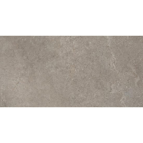 Ceralto Amaro Plank Carreau de sol - 60x120cm - 9.0mm - rectifié - Iron SW1473990