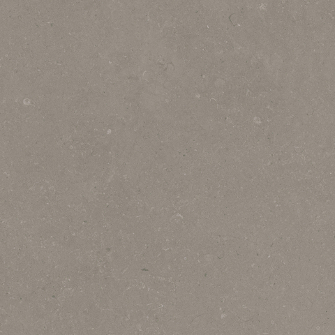 ÉCHANTILLON Terravito Selvico Carrelage parquet céramique mural et de sol - 60x60cm - 9mm - Greige SW1579557