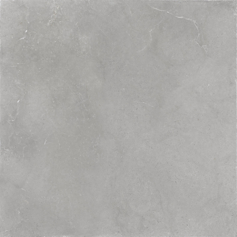 ÉCHANTILLON Terravito Cozino Carrelage de sol et de mur - 60x60cm - rectifié - gris mat SW1130971