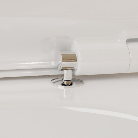 Hansgrohe EluPura S Closetcombinatie SW1406566