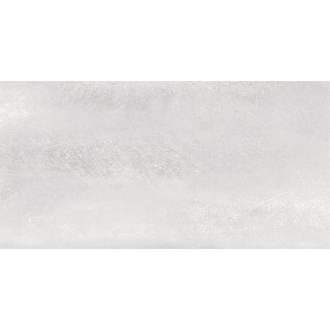 SAMPLE Ceralto Ferron Metal 305X605 Sync Steel SW1123113