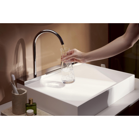 Hansgrohe Avalegra Wastafel / Fontein SW1387807