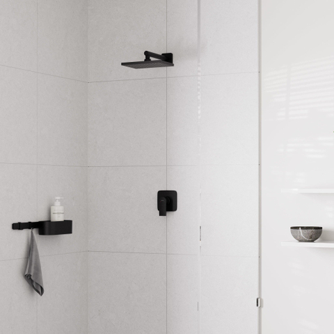 Hansgrohe Vernis Shape - hoofddouche 23x17cm - ecosmart - mat zwart SW651709