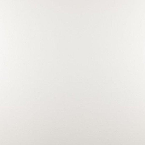ÉCHANTILLON Ceralto Briano Accent Carrelage sol et mur 100x100cm 6mm rectifié R9 grès cérame White SW912626