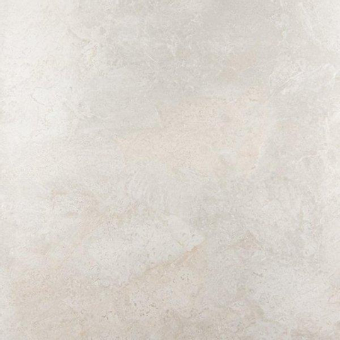 ÉCHANTILLON Ceralto Briano Accent Carrelage sol et mur 100x100cm 6mm rectifié R10 grès cérame Platinum White SW912654