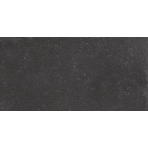 Terravito Calvero wand- en vloertegel - 30x60cm - 9.0mm - Rechthoek - gerectificeerd - Betonlook - mat antraciet SW1077661