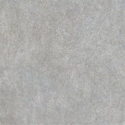 ÉCHANTILLON Ceralto Gavira Plank Carrelage de sol et de mur 60x60cm 9.7mm rectifié R10 grès cérame Grey SW912208