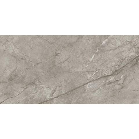 Ceralto Calisto Luxe Carreau de sol - 59.5x119.5cm - 9.0mm - rectifié - Silver majestic SW1130047