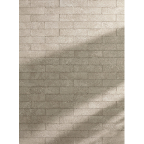 ÉCHANTILLON Terravito Elzino carreau mural et de sol - 6x24cm - Aspect pierre naturelle - Grey mat (gris) SW1221492
