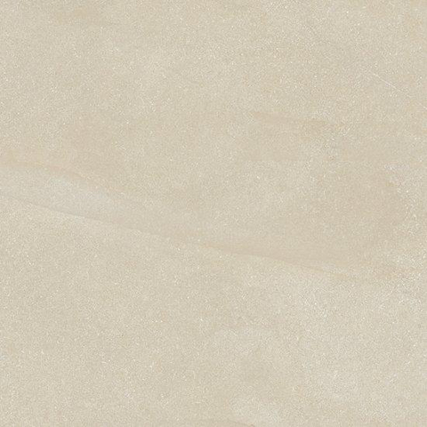ÉCHANTILLON Ceralto Taverno Line Carreau de sol - 60x60cm - 8.0mm - rectifié - Seashell SW1557702