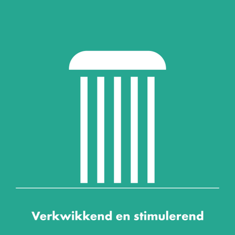 Hansgrohe Vernis Blend Handdouche vario - ecosmart - hoogglans chroom SW647124