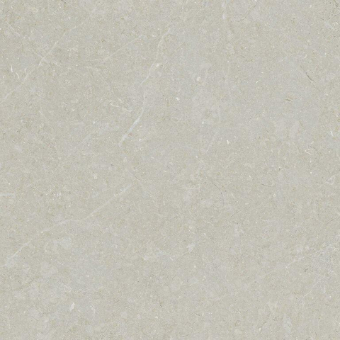 ÉCHANTILLON Terravito Elvano Carrelage parquet céramique mural et de sol - 60x60cm - 9mm - Bone SW1579533