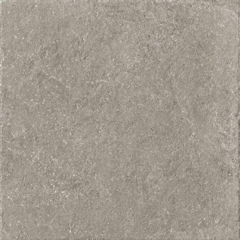 ÉCHANTILLON Ceralto Divaro Plank Carreau de sol - 80x80cm - 9.5mm - rectifié - gris SW912671