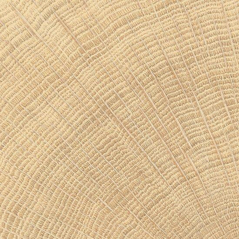 Vtwonen Tegels Woodcirkle Carrelage de sol - 10x10cm - 9.5mm - Chêne SW1473889