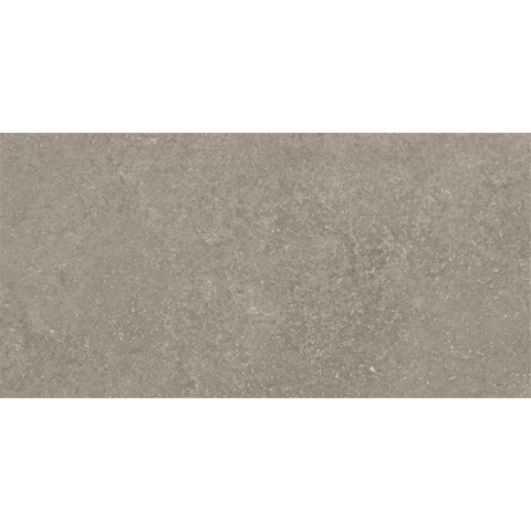 Ceralto Olivaro Sete Vloertegel - 30X60 - 10mm - mat - zilver SW1578739