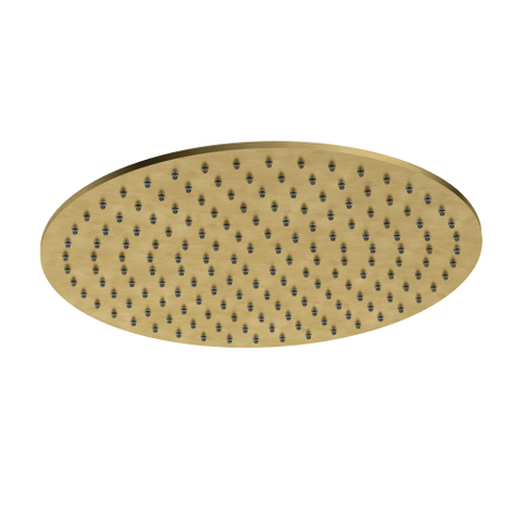 Hotbath Archie Hoofddouche - rond - 30cm - PVD - geborsteld messing (goud) SW798995